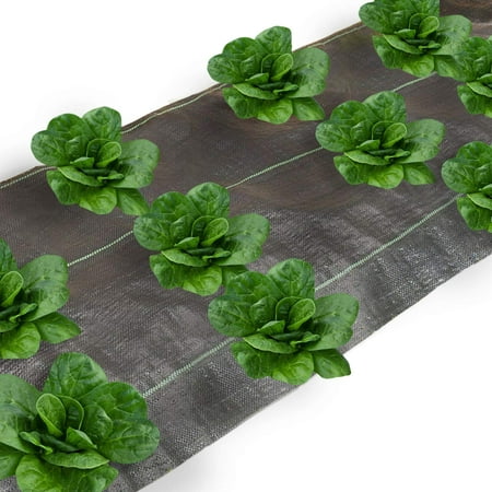 Agfabric Heavy PP Woven Weed Barrier for Raised Bed,All Purpose Folded Landscape Garden Mat for Spinach 6x12ft Soil Erosion Control and UV (Best Store Bought Soil For Weed)