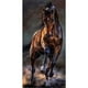 thumbnail image 1 of Pintura de diamante 5D DIY Kit de caballo de taladro redondo completo decoración del hogar arte artesanal FLhrweasw  Nuevo, 1 of 9
