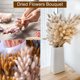thumbnail image 5 of Uxcell 120 piezas de colas de conejo naturales, flores secas, 18" mini hierba de pampas Lagurus Ovatus, ramo para decoración floral de bodas, rosa, 5 of 6