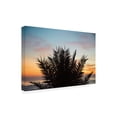 thumbnail image 2 of Laura Marshall 'Sunset Palms II' Canvas Art, 2 of 3