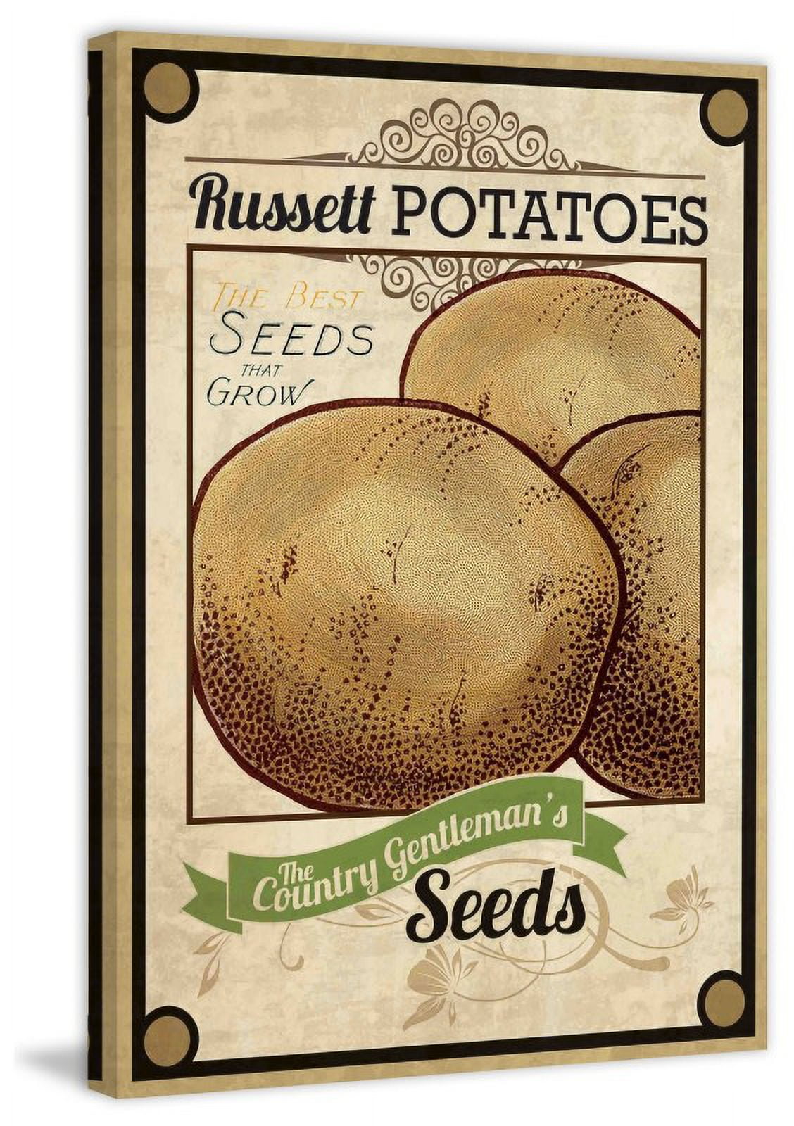 Marmont Hill "Seed Packet Potatoes" Painting Print on Canvas