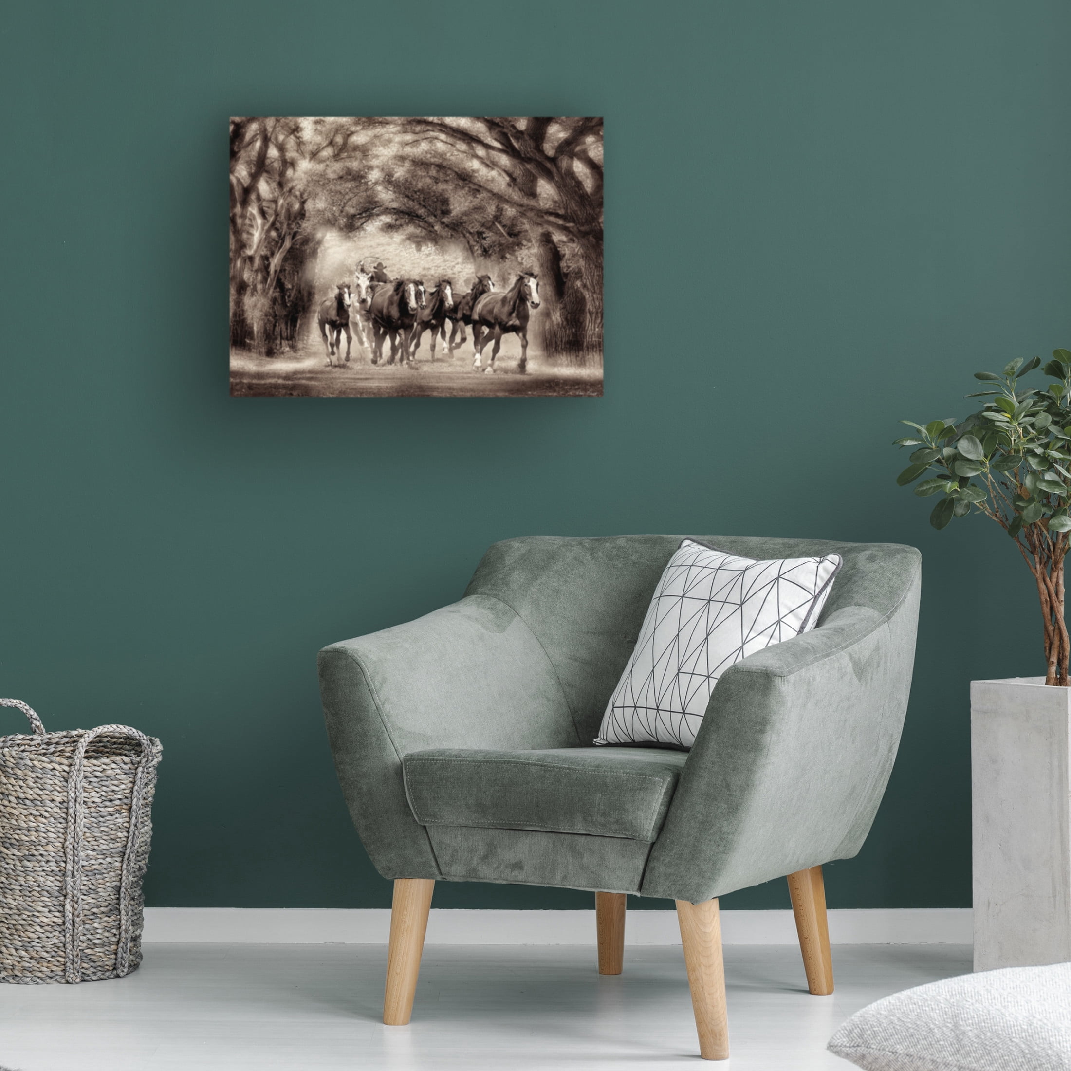 Trademark Fine Art David Drost Running Under the Cottonwoods Canvas Wall Art