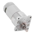thumbnail image 4 of DC Gear Motor Eccentric Shaft CW CCW Self Locking Brass Coil Speed Reduction Geared Motor DC24V 300RPM, 4 of 5