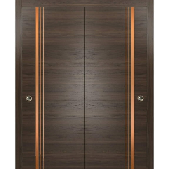 Sliding Closet Bypass Doors 36 x 80 inches | Planum 1010 Chocolate Ash with Frosted Glass | Sturdy Rails Moldings Trims Hardware Set | Wood Solid Bedroom Wardrobe Doors