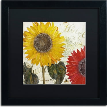 Trademark Fine Art "Sundresses I" Canvas Art by Color Bakery, Black Matte, Black Frame