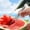🔥 Multicolor, variant on Viflosae 2 in 1 Watermelon Slicer Cutter Stainless Steel Fruit Cutter Head Portable Windmill Design Melon Cuber with fork Quick Slice Server Tool Kitchen Gadget for Home Summer Fruit Cutting