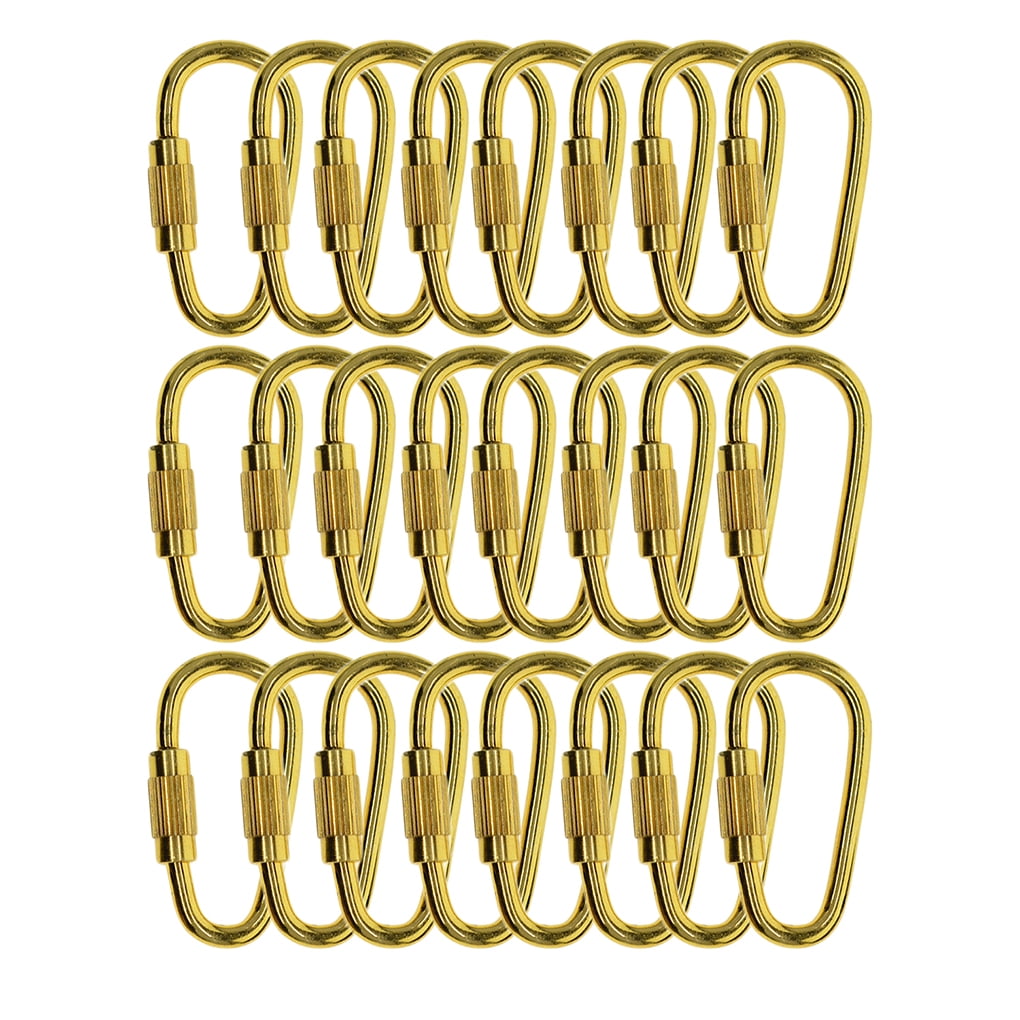 Wrea Pack of 24 D Ring Locking Carabiner Keychain Mini Hooks Spring