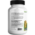 thumbnail image 7 of GreenVify Moringa Magic Max, 7 of 7