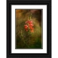 thumbnail image 1 of Murdock, Ramona 23x32 Black Ornate Wood Framed with Double Matting Museum Art Print Titled - Snapdragon Twilight II, 1 of 4