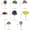 thumbnail image 3 of 18pcs Succulents Plants Artificial, Faux Succulents Unpotted Head Premium Fake Plants Realistic Textured Succulent for DIY Indoor Office Home Decor, 3 of 4
