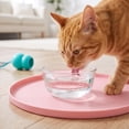 thumbnail image 5 of Round Silicone Pet Food Mat - Waterproof Dog & Cat Feeding Mat with High Lip to Prevent Spills & Protect Floors (Pink, 7''Dia), 5 of 6
