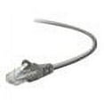 thumbnail image 4 of Belkin patch cable - 12 ft - B2B, 4 of 7