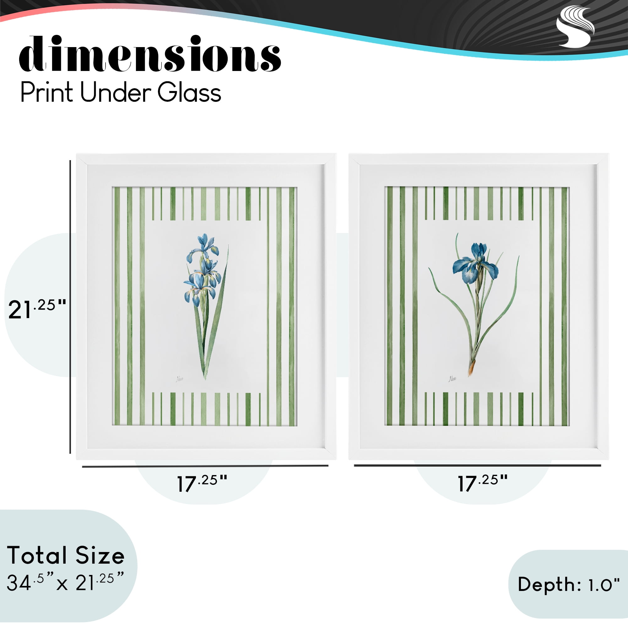 Stupell Industries Irises And Stripes 2 Piece White Framed Print Under Glass Set, design by Nan