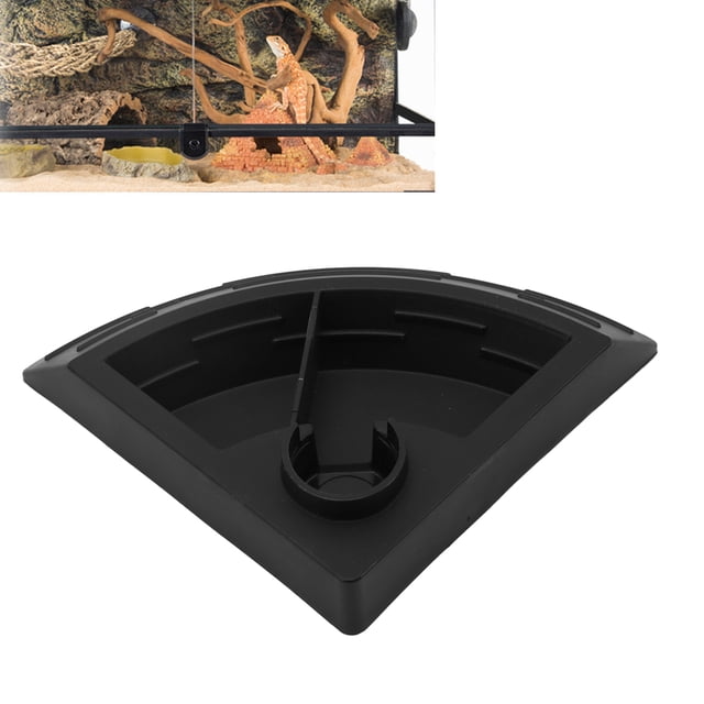 Dispensador De Alimento Automático 2 En 1 Cuadrante De Comedero Para Reptiles