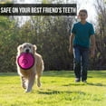 thumbnail image 6 of Flippy Flopper 9" Flying Disc Soft Dog Toy, Floats in Water & Safe on Teeth, for All Breeds, Pack of 5 (Colors May Vary), 6 of 9