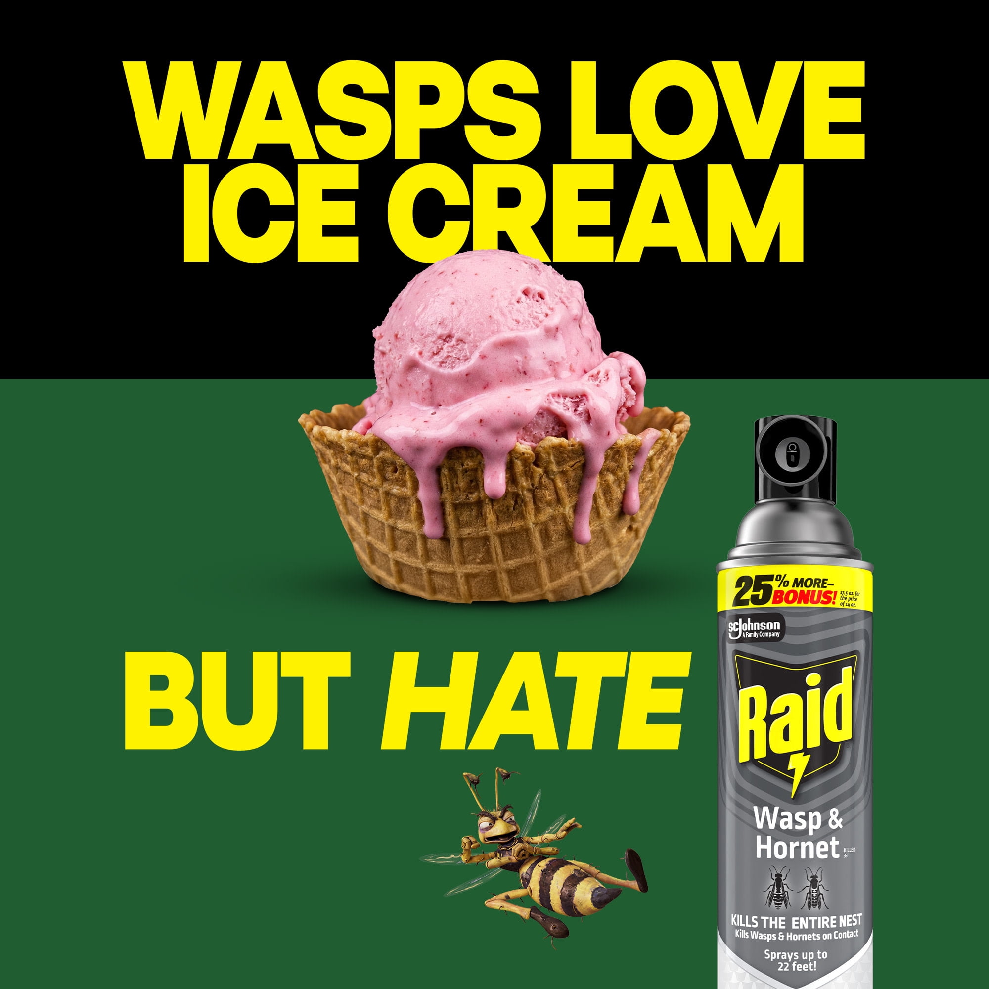 Raid Wasp & Hornet Killer, Outdoor Flying Insect Spray, 17.5 oz