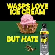Raid Wasp & Hornet Killer Spray, 22 Ft Jet Spray Nest Killer, Outdoor, 17.5 oz