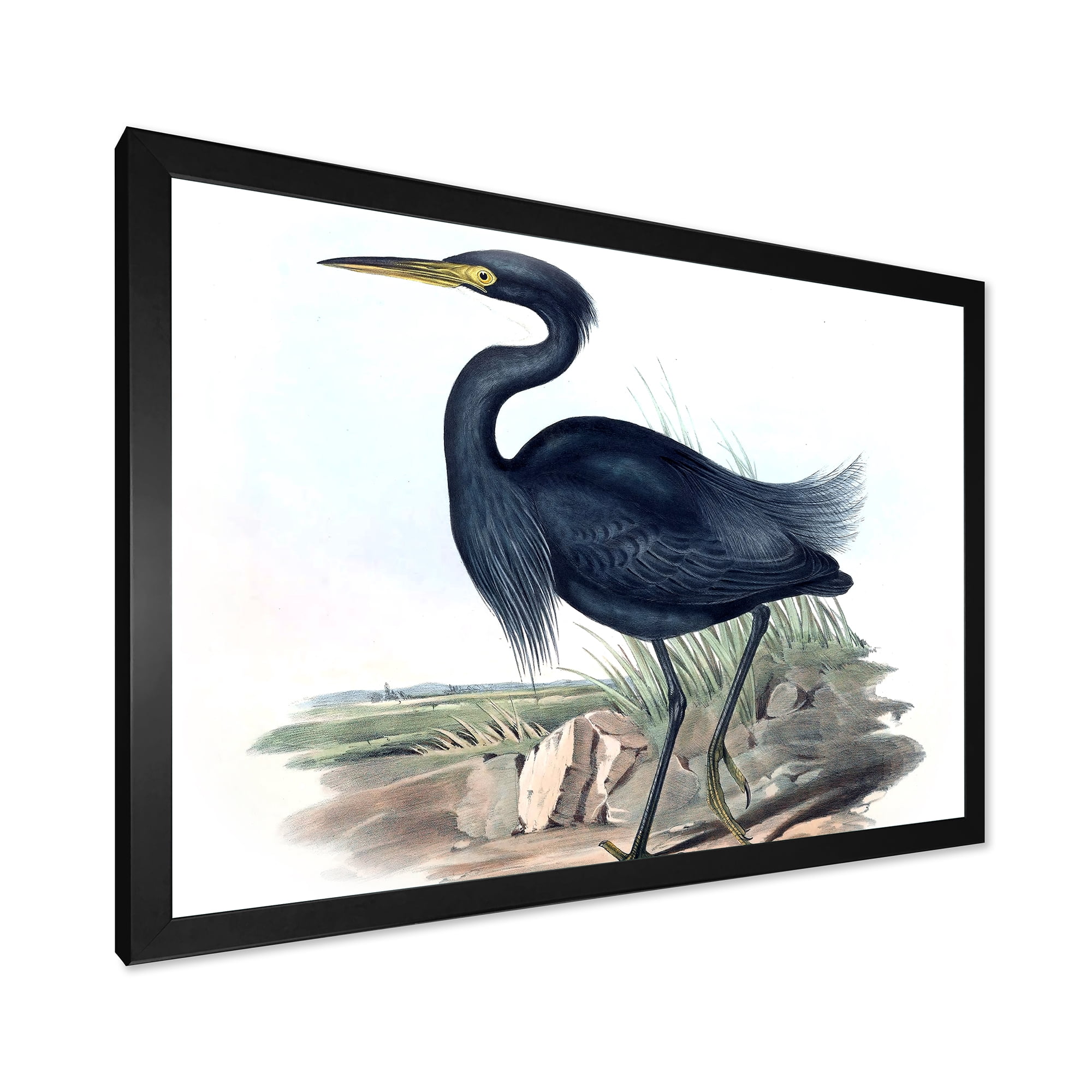Designart 'Ancient Australian Birds III' Traditional Framed Art Print