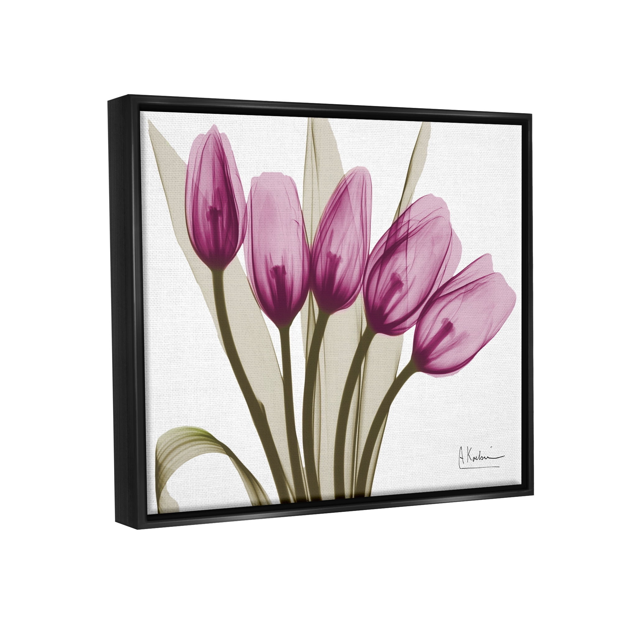 Stupell Industries Contemporary Pink Tulips Botanical & Floral Photography Black Floater Framed Art Print Wall Art, 21 x 17