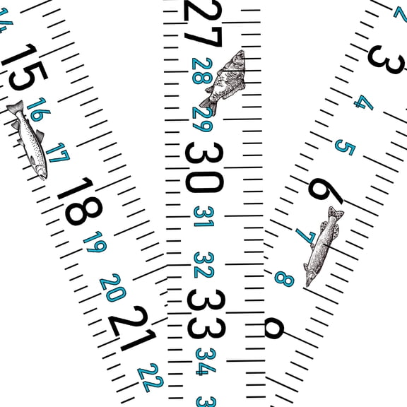 Adhesive Fish Ruler 3 Pack 51 Inch Fish Measuring Tape Sticker Tape Waterproof for Fishing Boat Kayak Workbench