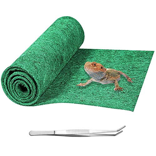 Mechpia 59 x 20 Reptile Carpet, Terrarium Extra Nigeria Ubuy