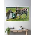 thumbnail image 2 of Use Both Lanes Poster Wall Art, Modern Wall Decor For Living Room Bedroom, 24x36 UNFRAMED, 2 of 3