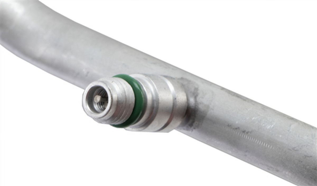 Discharge Line Hose Assembly