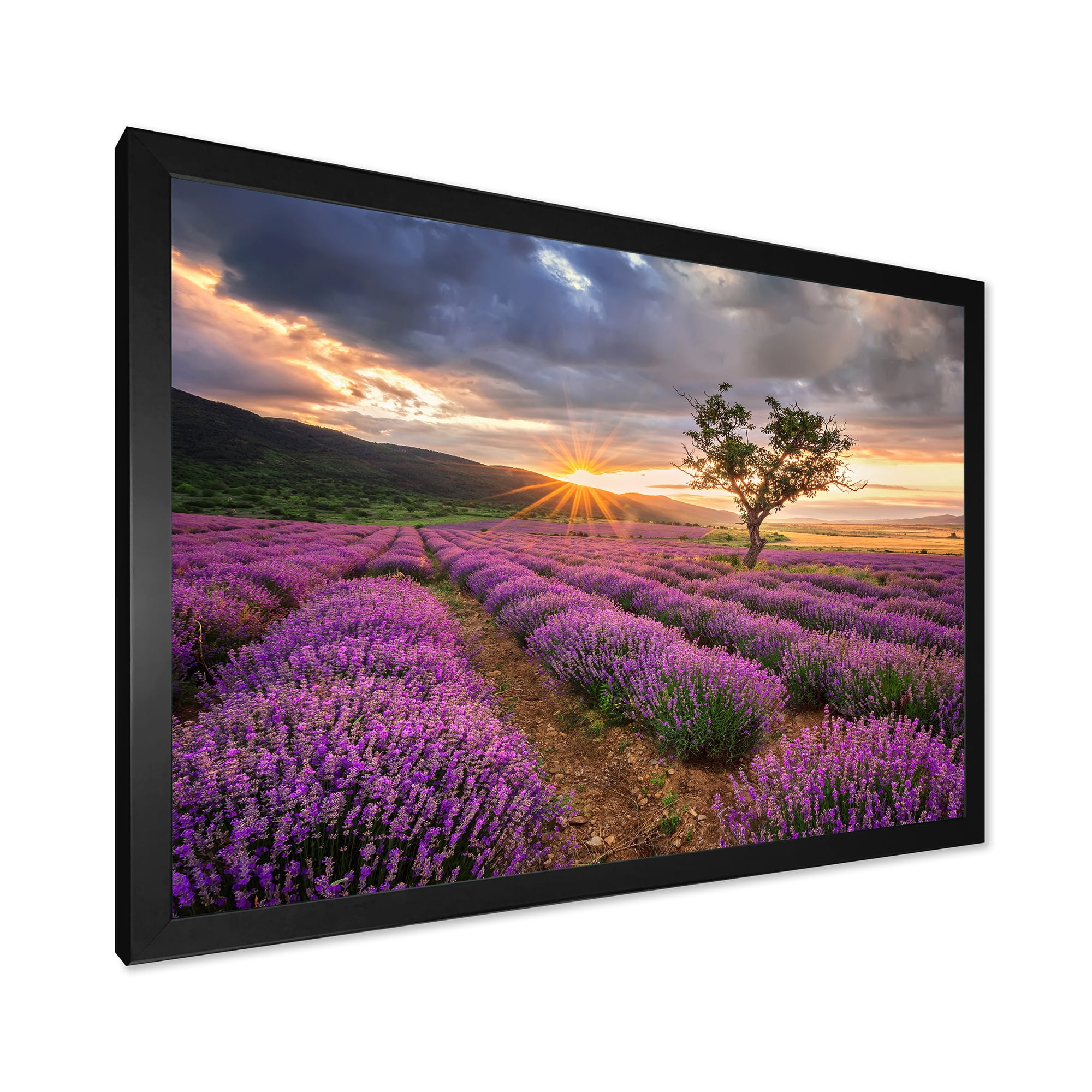 Designart 'Dramatic Clouds and Sunrise Over Lavender Field VIII' Farmhouse Framed Art Print