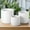 White, variant on Paloma Ceramic Round Planter Set (Set of 3)