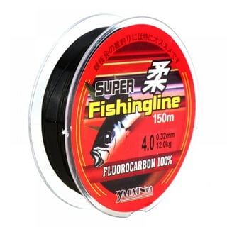 200M Transparent Nylon Fishing Line Fluorocarbon Coated Monofilament  Fishing Leader Line Carp Fishing Wire Fishing Accessories