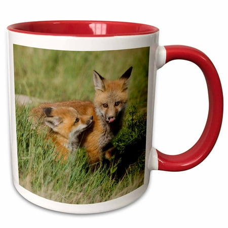 

3dRose Red Fox Kits Playing - Two Tone Red Mug 11-ounce