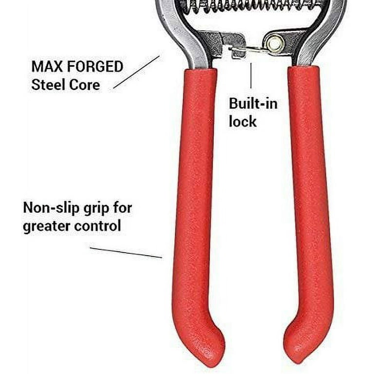 Corona ErgoACTION Bypass Pruner – Forged Steel Garden Shears, Cuts Up To 3/4 Inch 4 thumbnail image