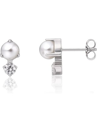 Implant Grade Titanium Earrings