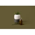 thumbnail image 3 of Chef'n Small Self Watering Ceramic Herb Planter, 3 of 5