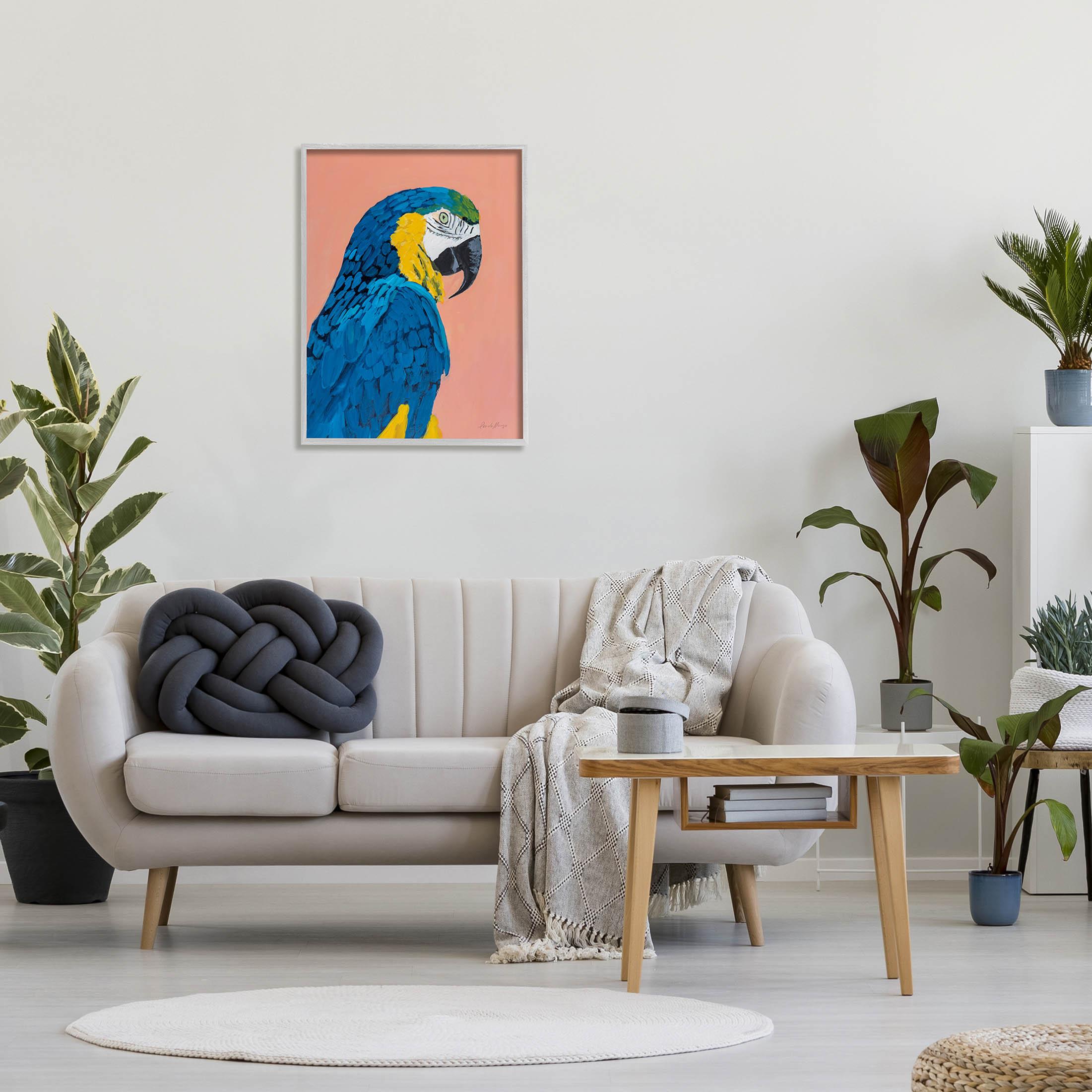 Stupell Industries Bold Parrot Wildlife Portrait Painting Gray Framed Art Print Wall Art, Design by Pamela Munger