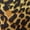 Leopard Print, variant on NOMADIC NOOK Animal Print Shorts for Men's Regular Fit Summer Shorts Pants 2 Pack