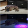thumbnail image 5 of LED UV Flashlight UV Beast Pet Urine Finder Stain Detector Black Lights Torch, 100 LED Beads, 5 of 5