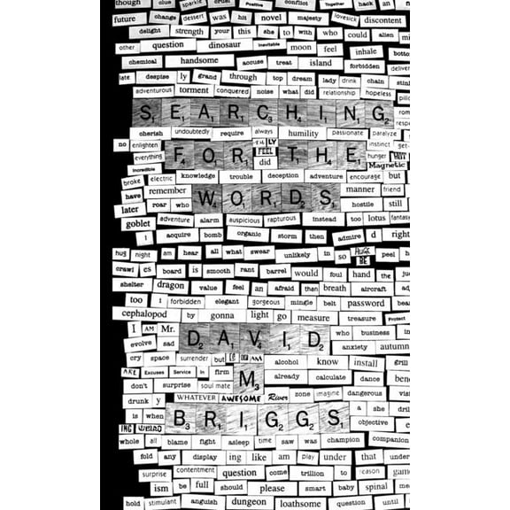 Searching for the Words: Magnet Poems, (Paperback)