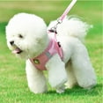 thumbnail image 3 of Soft Mesh Step in Small Dog Leash Set,Reflective Puppy Vest,Breathable Secure Harness with Leash for Small Dogs Puppies Cats Multi Sizes, 3 of 7