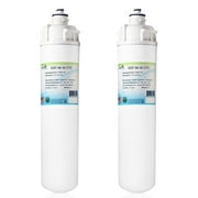 Swift Green Filters SGF-96-45 CTO Compatible Commercial Water Filter for EV9607-00, Made in USA (Pack of 2)