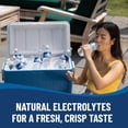 Ice Mountain Spring Water, 2.5 Gal, Single Plastic Jug
