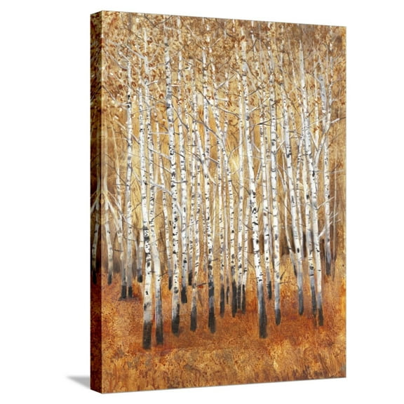 Art.com Sienna Birches II Stretched Canvas Print Wall Art by Tim OToole, 18" x 24"