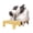 Yellow, variant on Adjustable Non-Slip Cat Ramp for Litter Box – Easy-Clean Step for Senior Cats, Kittens & Small Pets