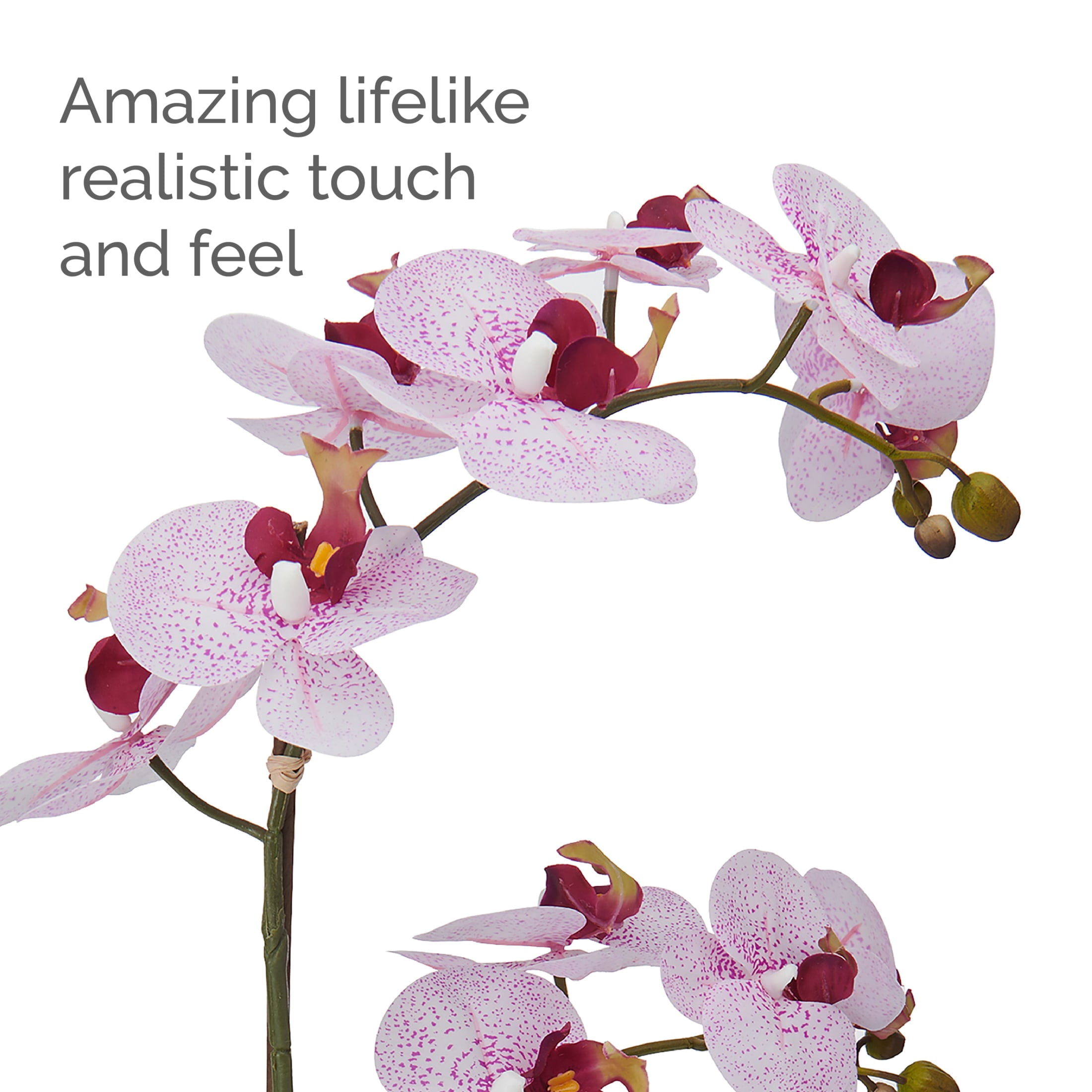 Home Accents 22-inch Artificial Real Touch Phalaenopsis Orchid in Cement Pot, Pink