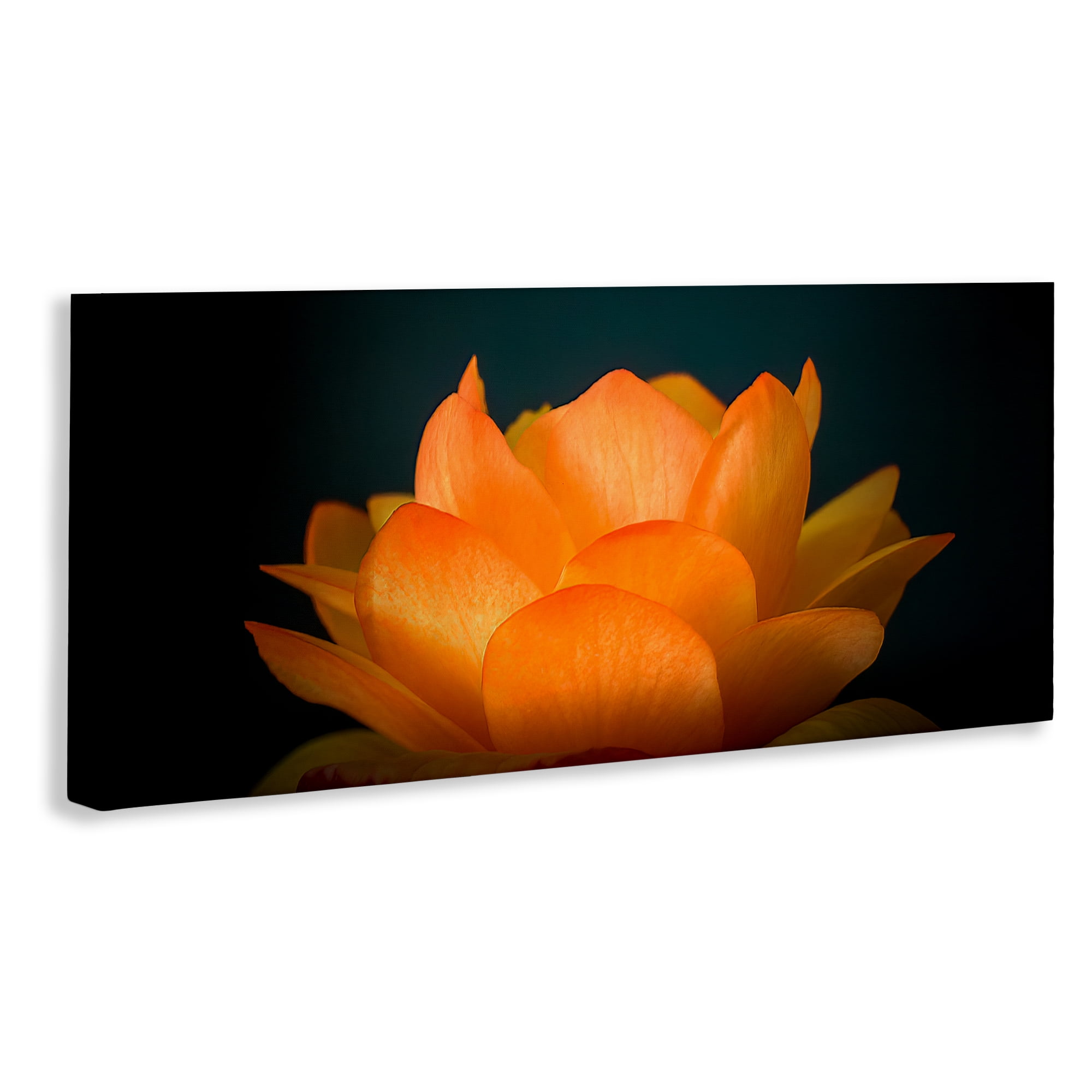 Glowing Orange Lotus Canvas Wall Art, design by Phillip Flowers