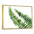 thumbnail image 3 of Designart 'Fern Plant Leaves Detail I' Farmhouse Framed Canvas Wall Art Print, 3 of 5