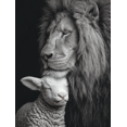 thumbnail image 1 of Lion and Lamb Home Decor Canvas Wall Art 15.75x11.81 Inches, 1 of 8