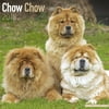 Chow Chow Calendar 2018 - Dog Breed Calendar - Wall Calendar 2017-2018