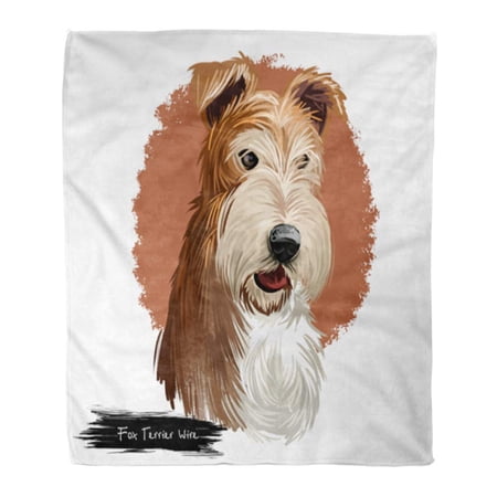 SIDONKU Throw Blanket Warm Cozy Print Flannel Wire Fox Terrier Dog Wirehaired Digital England Origin Hunting Cute Pet Comfortable Soft for Bed Sofa and Couch 50x60 Inches