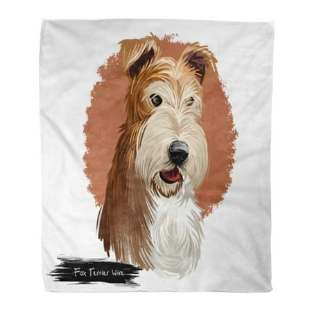 SIDONKU Throw Blanket Warm Cozy Print Flannel Wire Fox Terrier Dog Wirehaired Digital England Origin Hunting Cute Pet Comfortable Soft for Bed Sofa and Couch 50x60 (Best Fox Hunting Dogs)